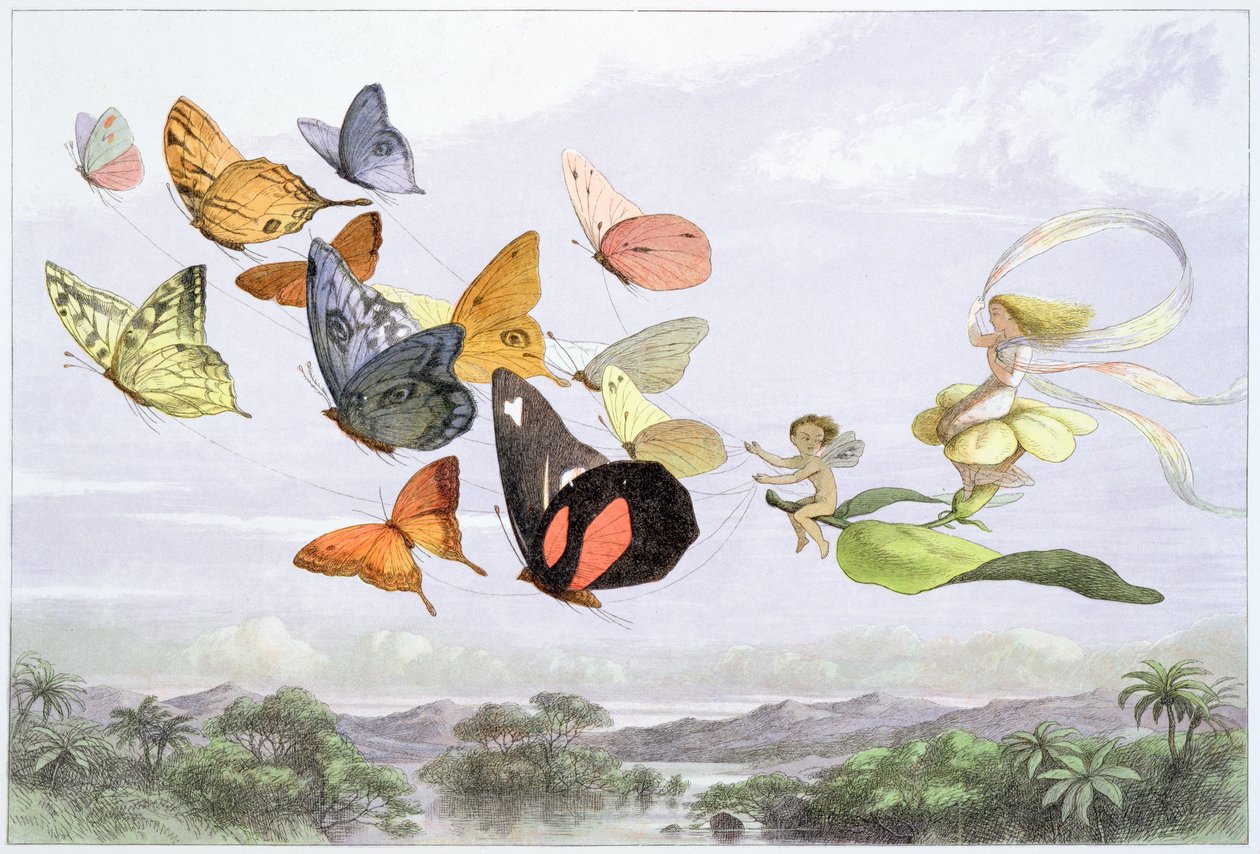 La carrozza della regina delle fate, c1870 da Richard Doyle