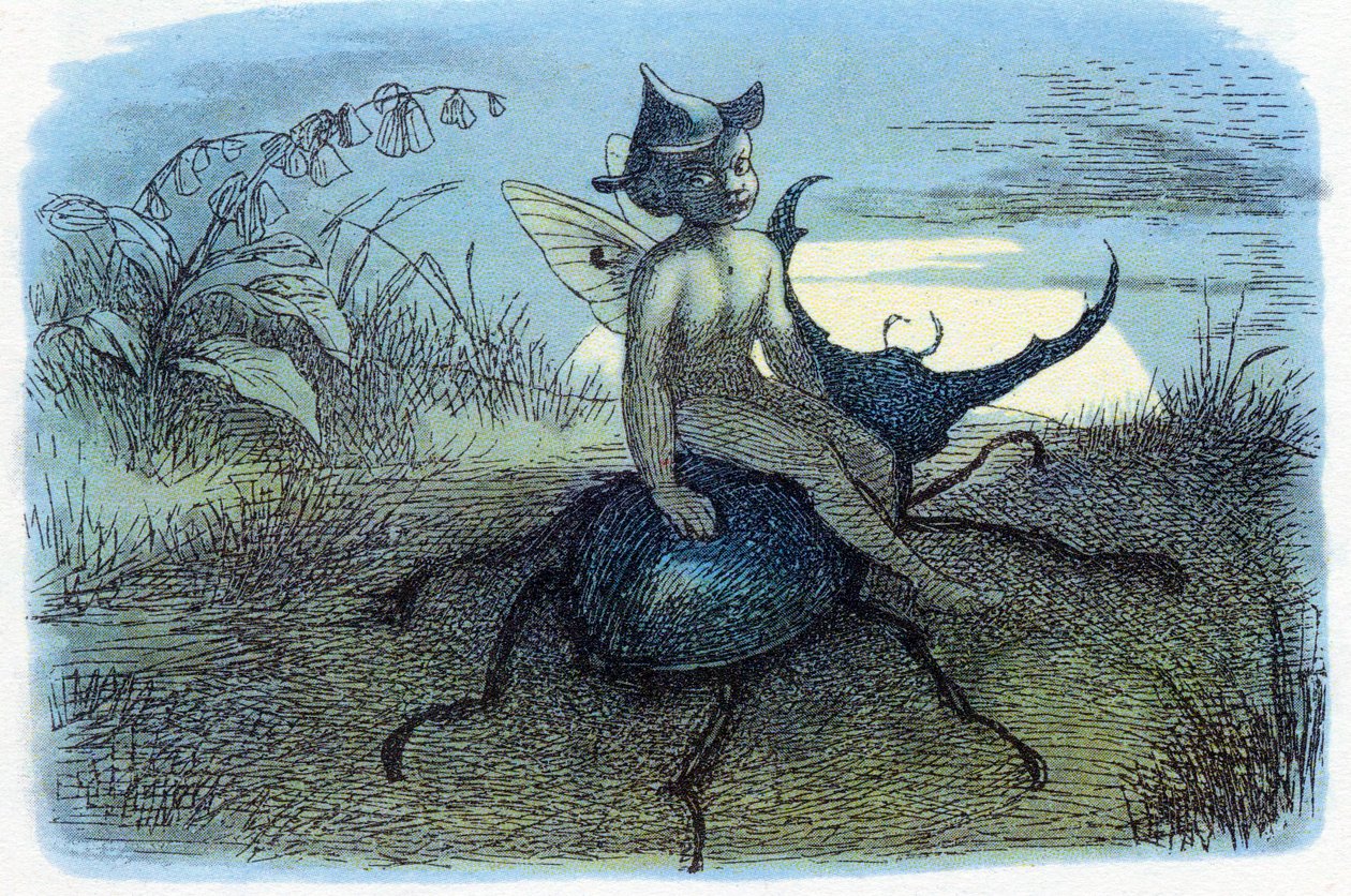 Il messaggero della regina delle fate da Richard Doyle