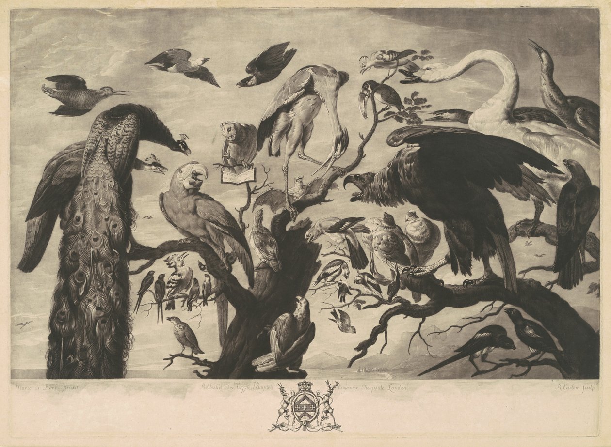 Un Concerto di Uccelli da Richard Earlom, after Mario Nuzzi