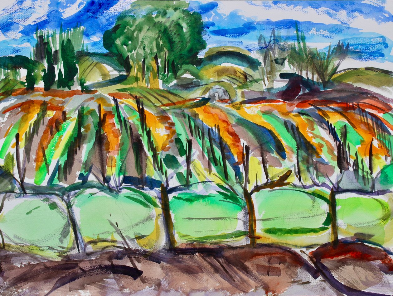 Vigneti Autunnali, Napa, 2017 da Richard Fox
