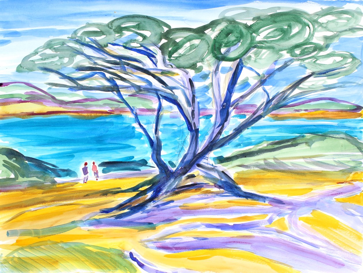 Albero di cipresso, Carmel, 2019 da Richard Fox