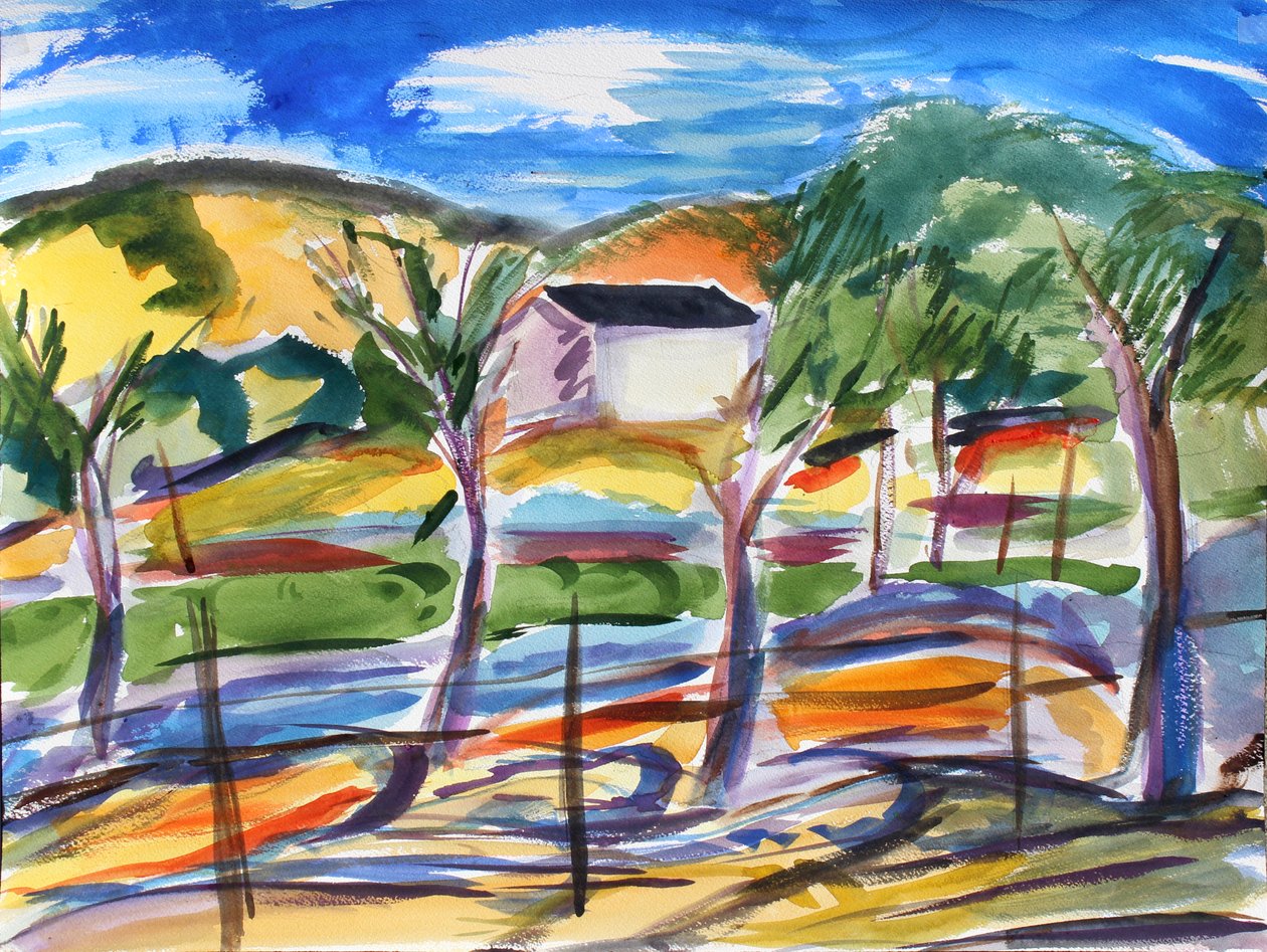 Campo e casa solitaria, 2019 da Richard Fox