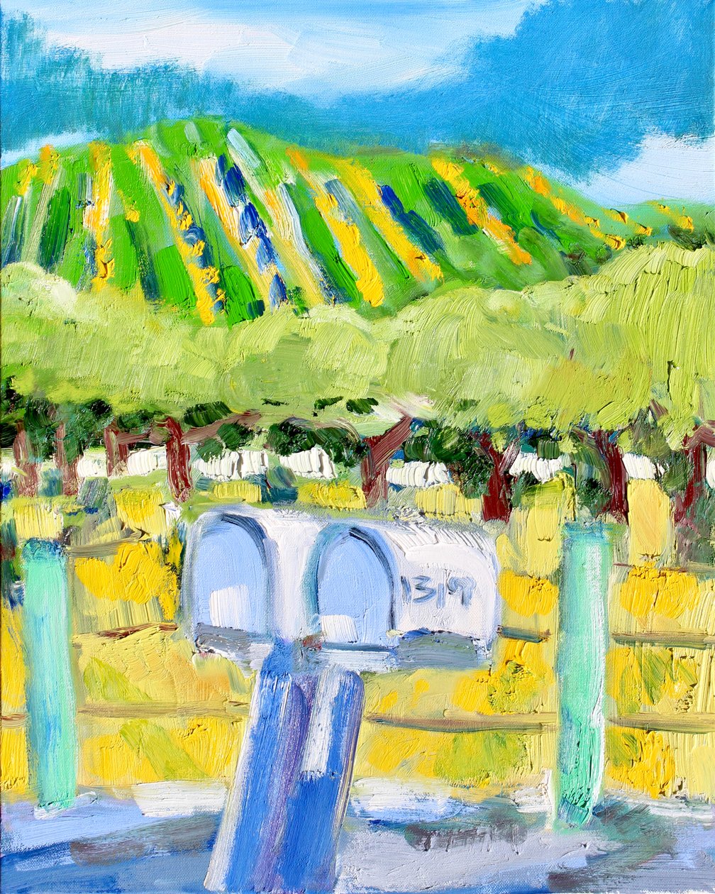 Cassette postali e vigneto, Napa da Richard Fox