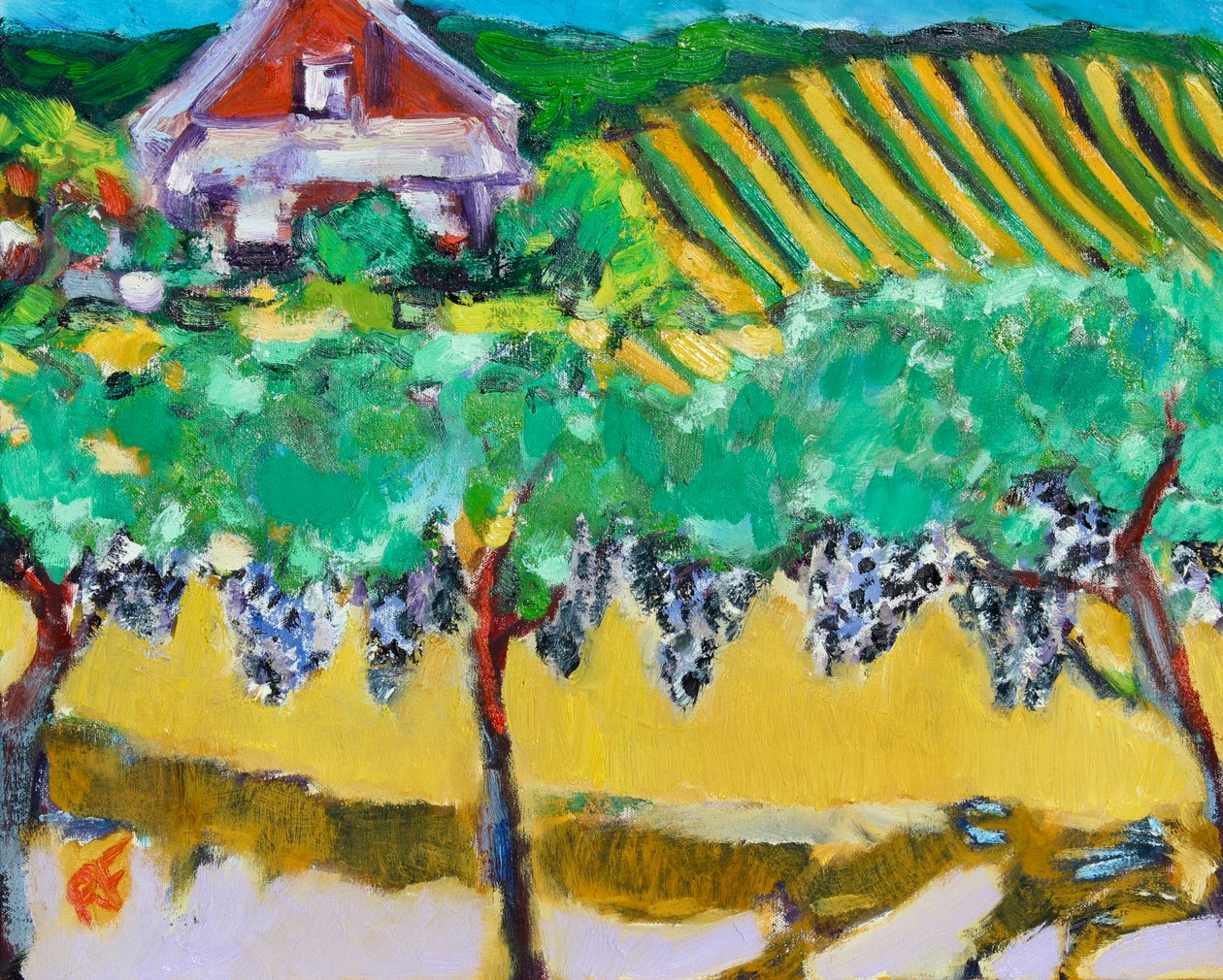 Uva Merlot, Napa, 2017 da Richard Fox