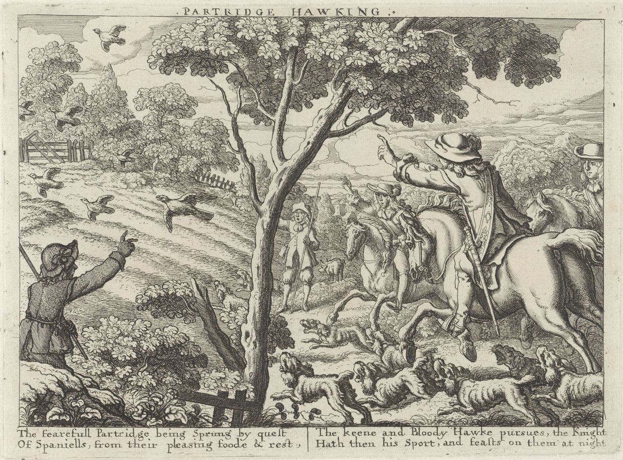 Caccia alla pernice (Jachtpartijen) da Richard Gaywood (possibly)