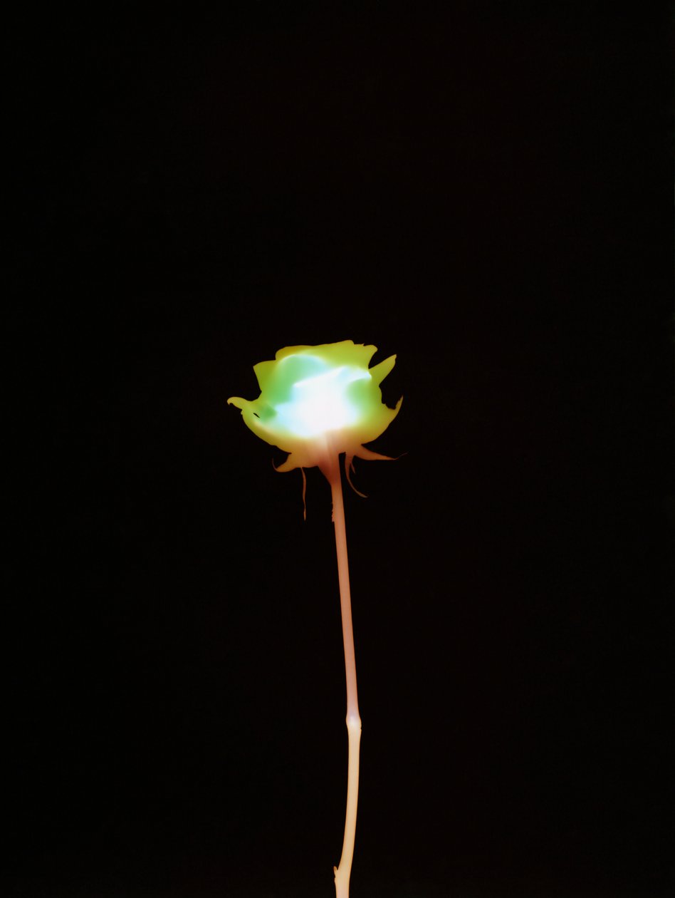 Senza titolo, 2007 da Richard Green
