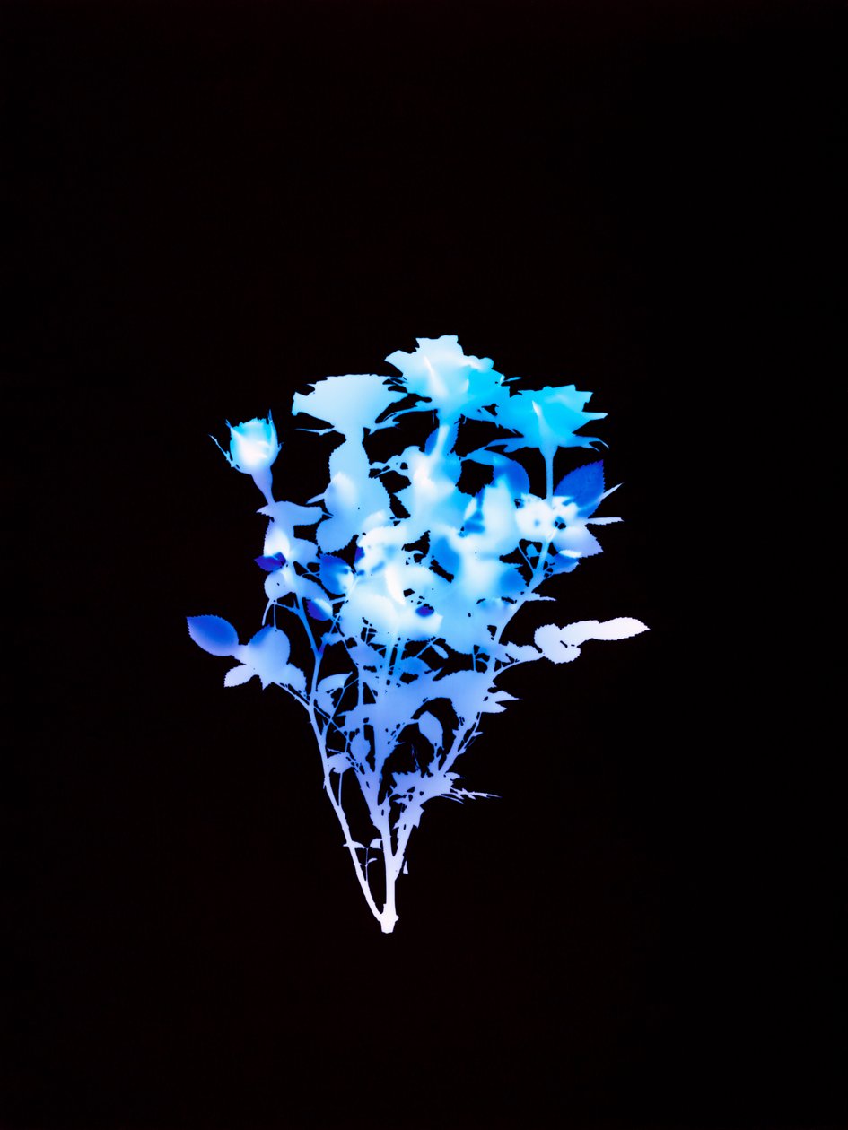 Senza titolo, 2008 da Richard Green