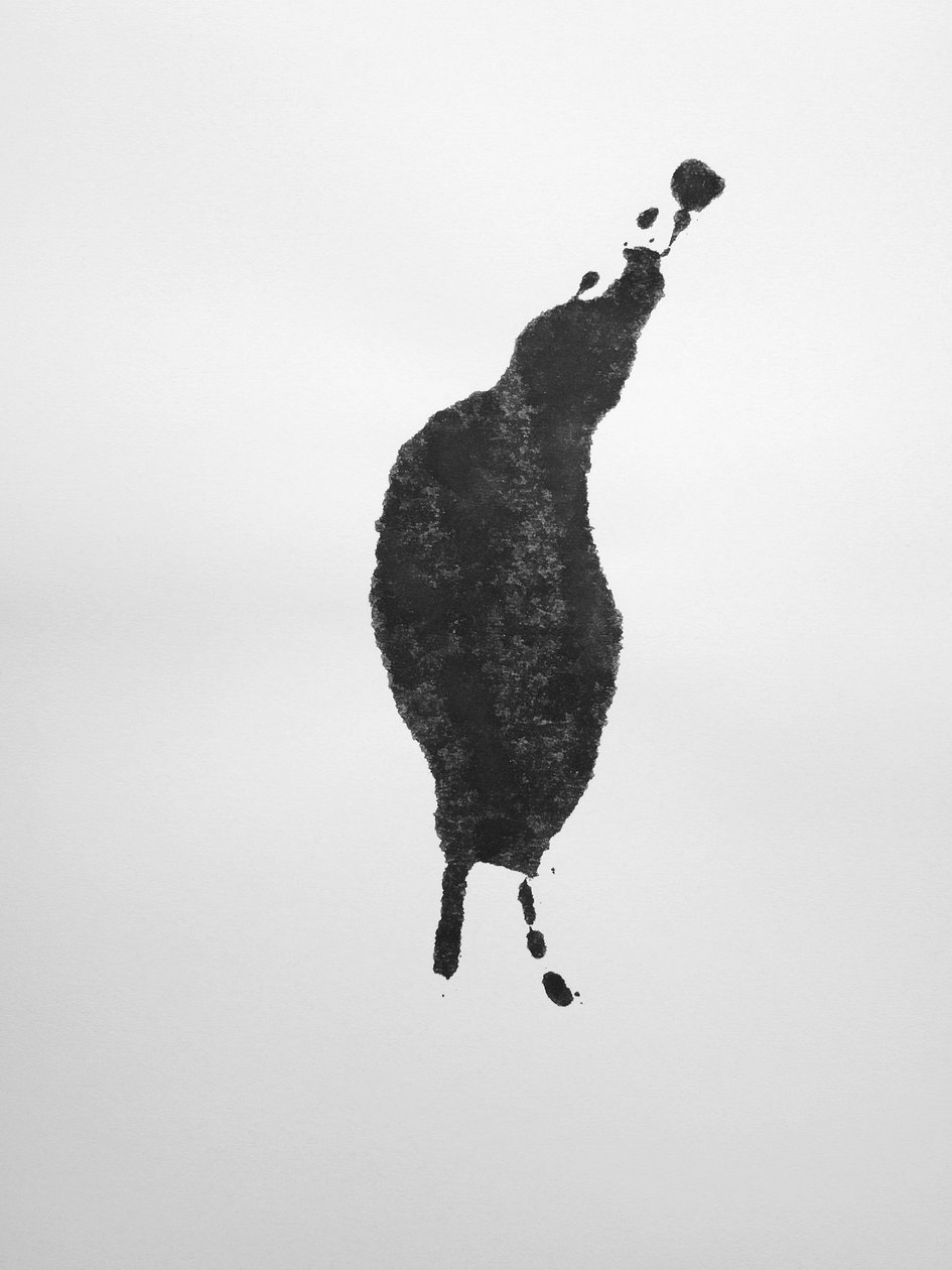 Senza titolo, 2009 (monotipo) da Richard Green