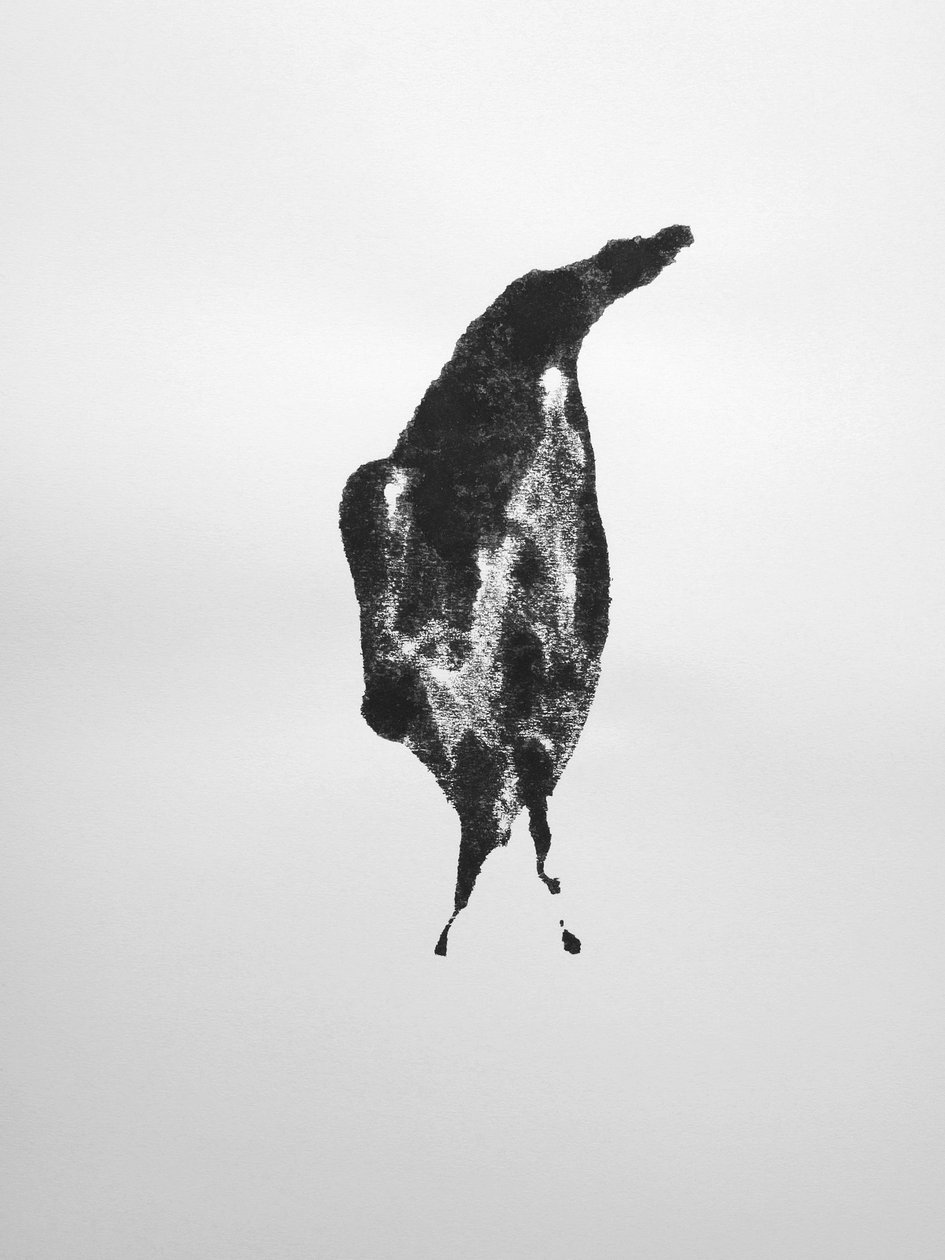 Senza titolo, 2009 (monotipo) da Richard Green