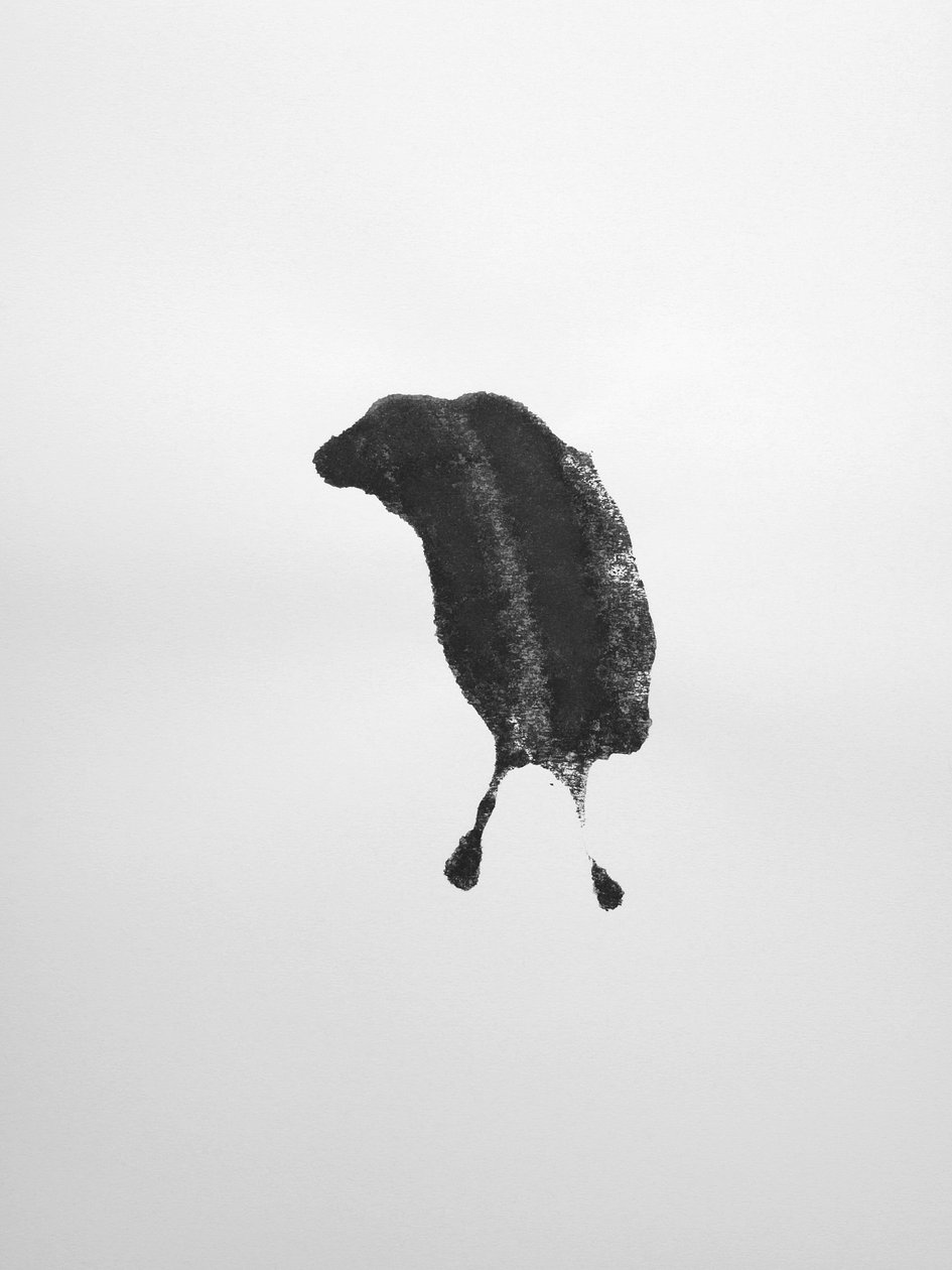 Senza titolo, 2009 (monotipo) da Richard Green