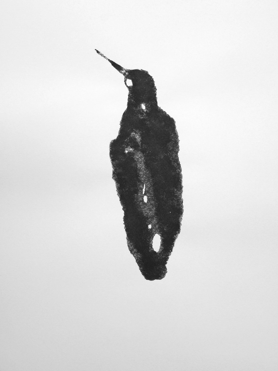 Senza titolo, 2009 (monotipo) da Richard Green