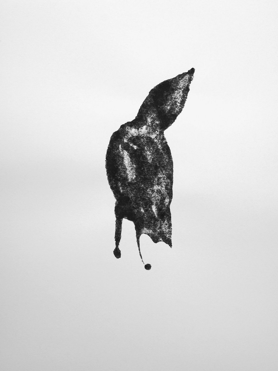 Senza titolo, 2009 (monotipo) da Richard Green