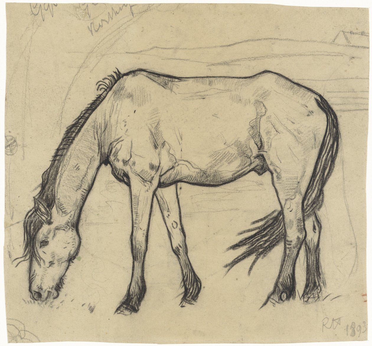 Cavallo al pascolo a Noordwijk da Richard Nicolaüs Roland Holst