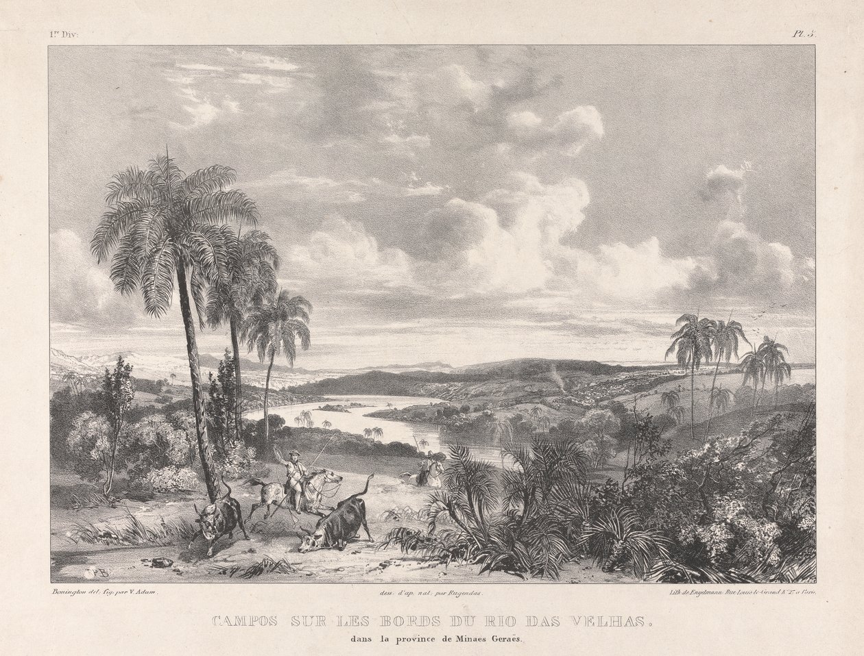 Campos sulle rive del Rio das Velhas da Richard Parkes Bonington