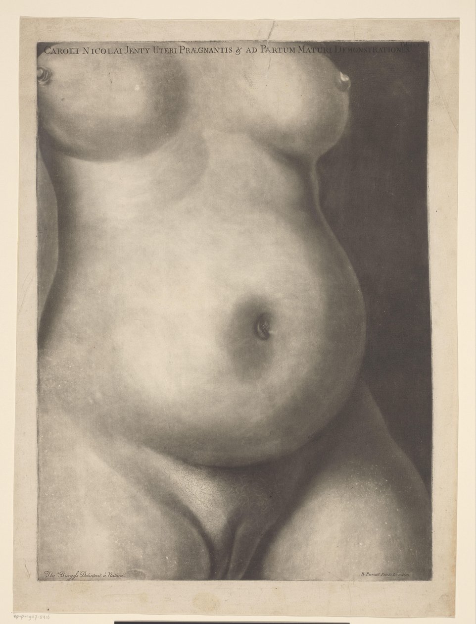 Torso di una donna incinta da Richard Purcell