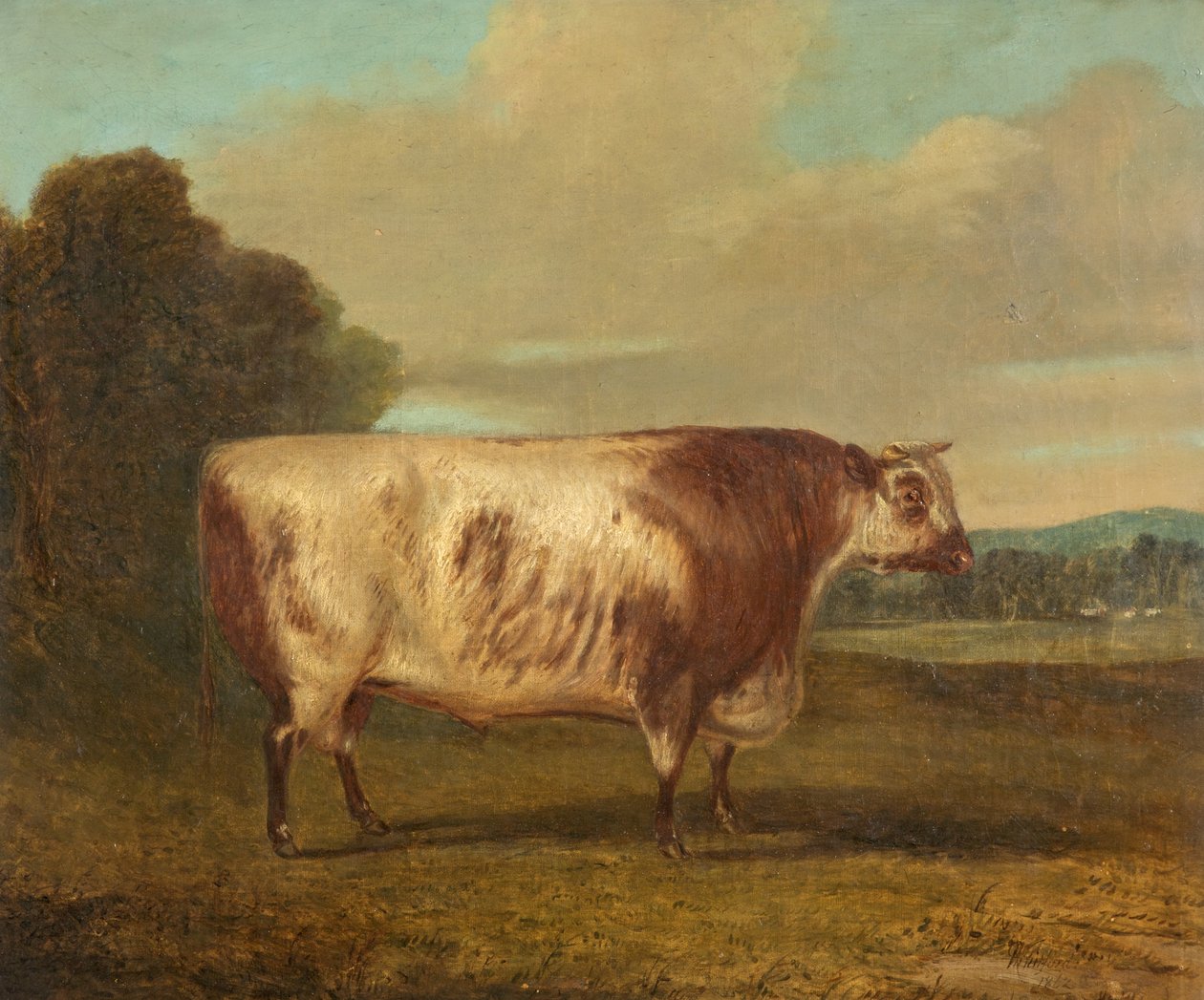 Un toro, 1862 da Richard Whitford