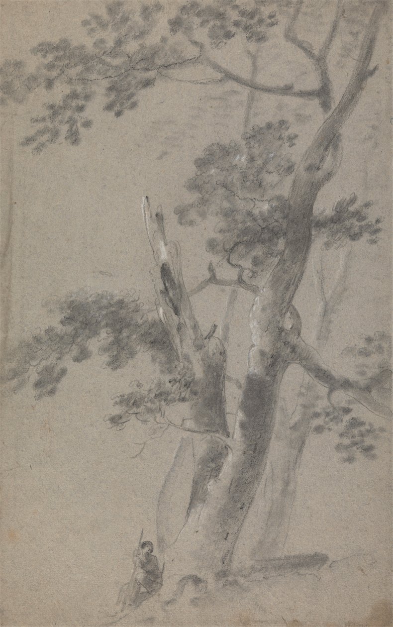 Pastore seduto sotto un albero da Richard Wilson
