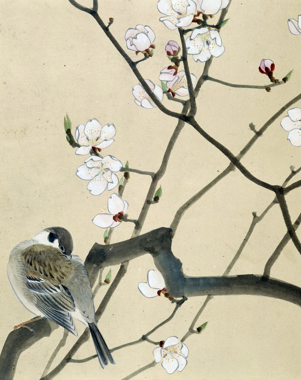 Uccello - disegno giapponese di Riou Chim da Riu Chim