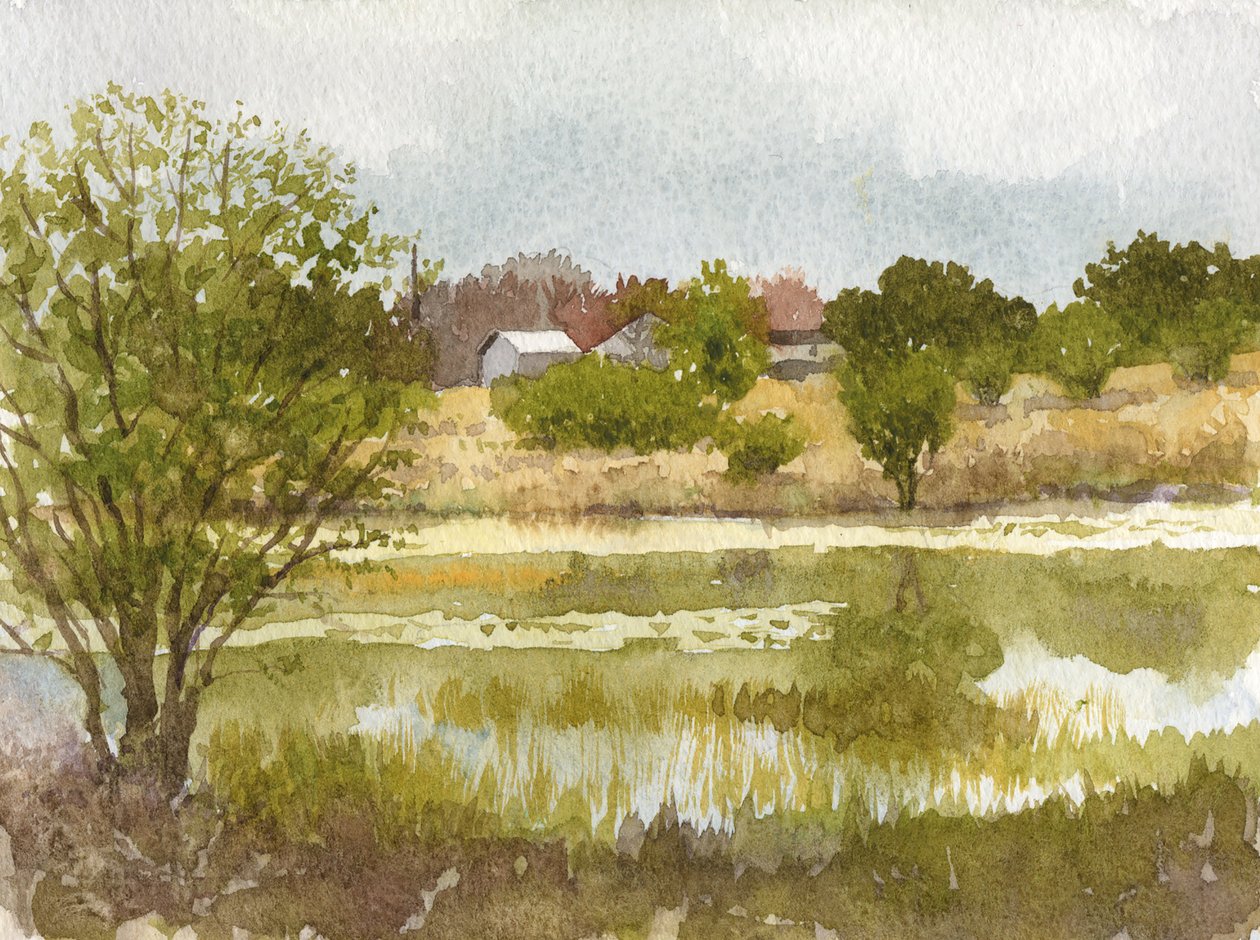 Lo stagno di Crumley, 2014 (acquerello su carta) da Rob Wood