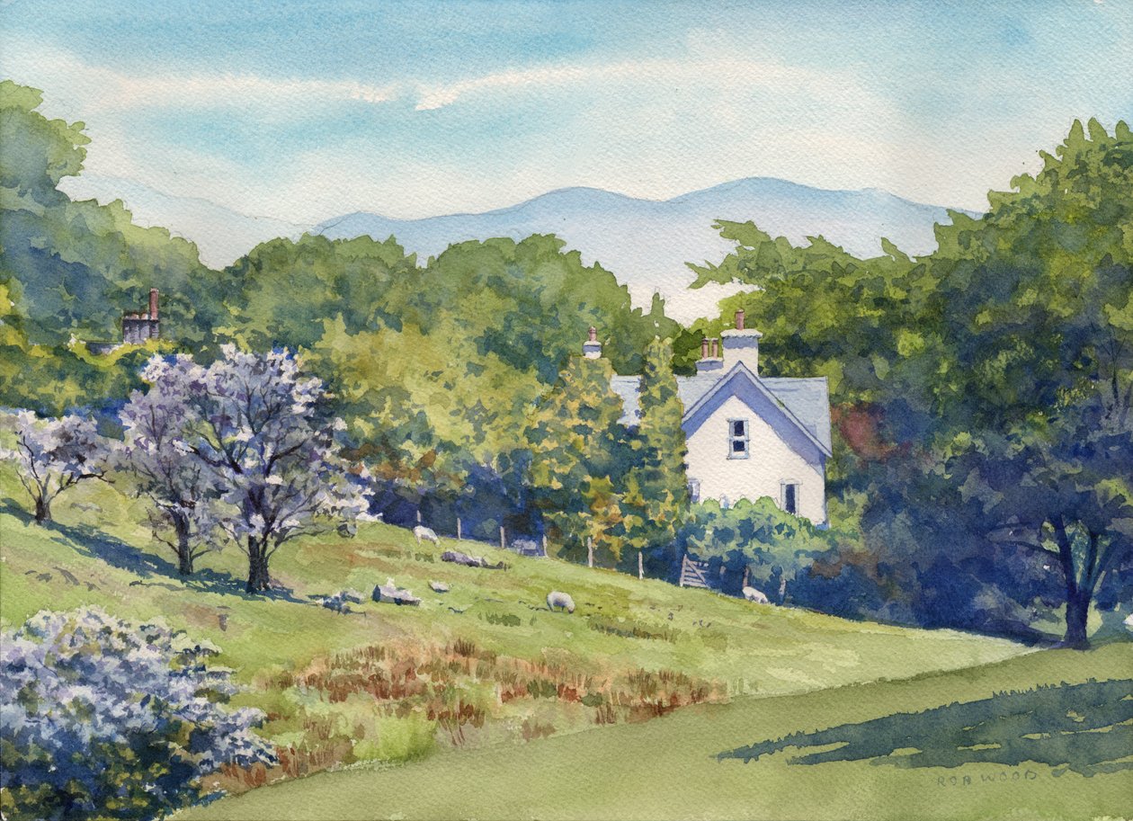 Primavera nel Lake District, 2016 (acquerello su carta) da Rob Wood