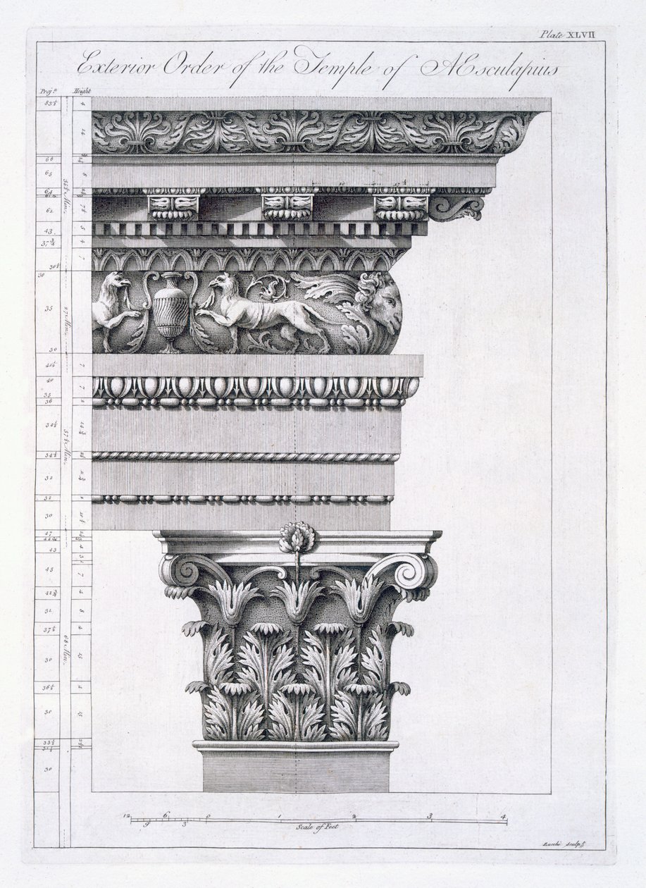 Ordine esterno del Tempio di Esculapio, tavola XLVII da 