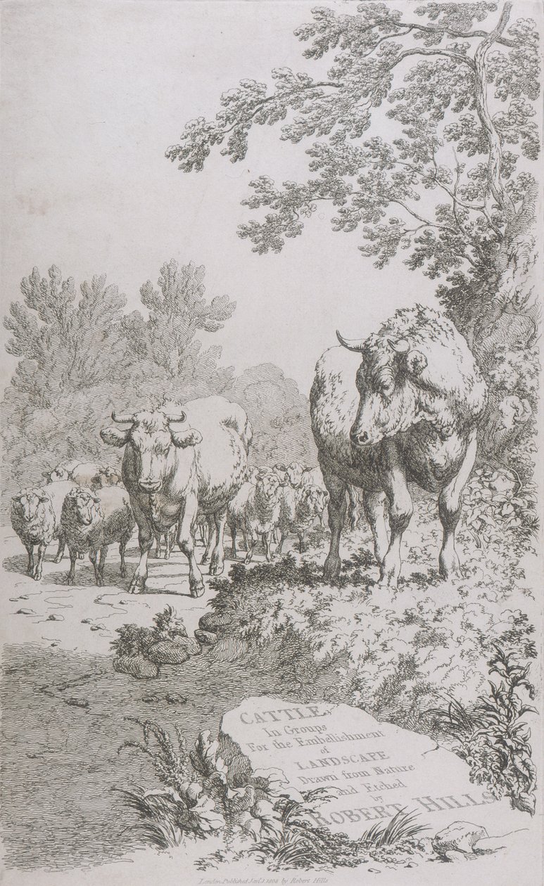 Pagina del titolo per Cattle in Groups for the embellishment of Landscape da Robert Hills