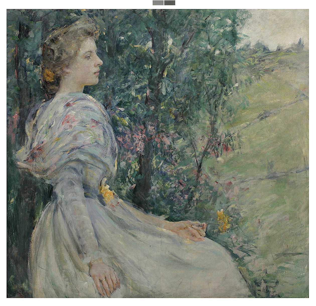 Narcisi da Robert Lewis Reid