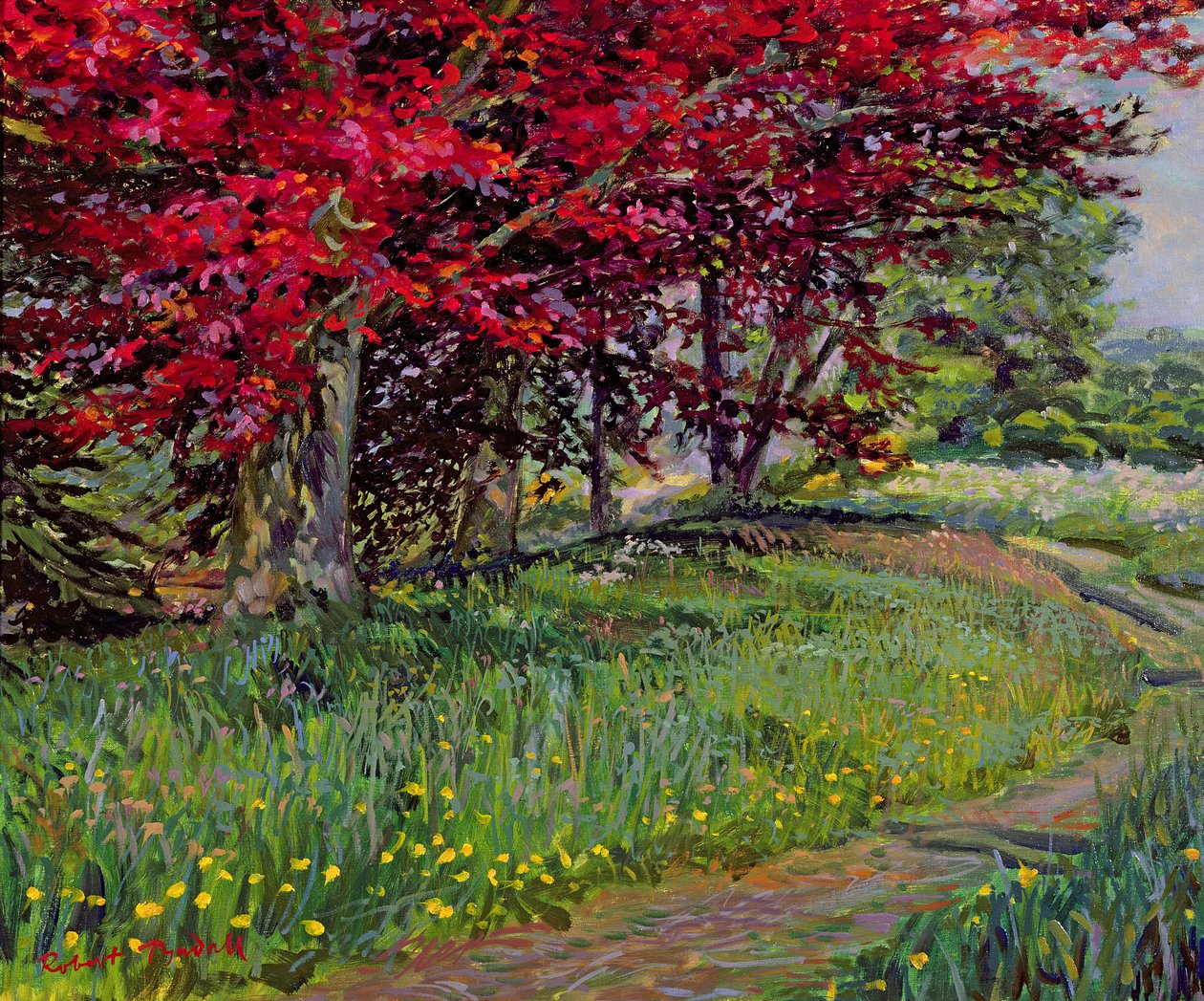 Faggi di rame, New Timber, Sussex da Robert Tyndall