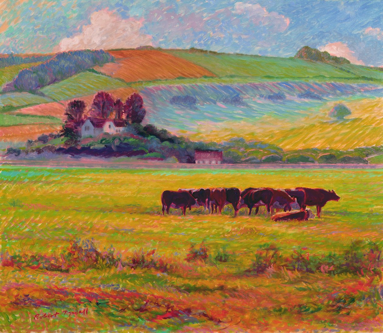 Bovini serali, valle di Cuckmere, Sussex da Robert Tyndall