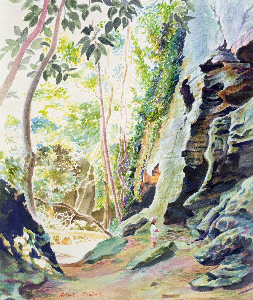 Rocce vicino a Nowra, N.S.W. Australia da Robert Tyndall
