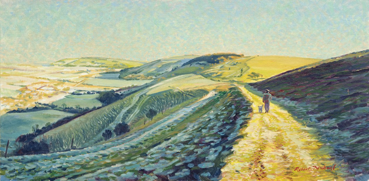 Passeggiata invernale sui Downs da Robert Tyndall