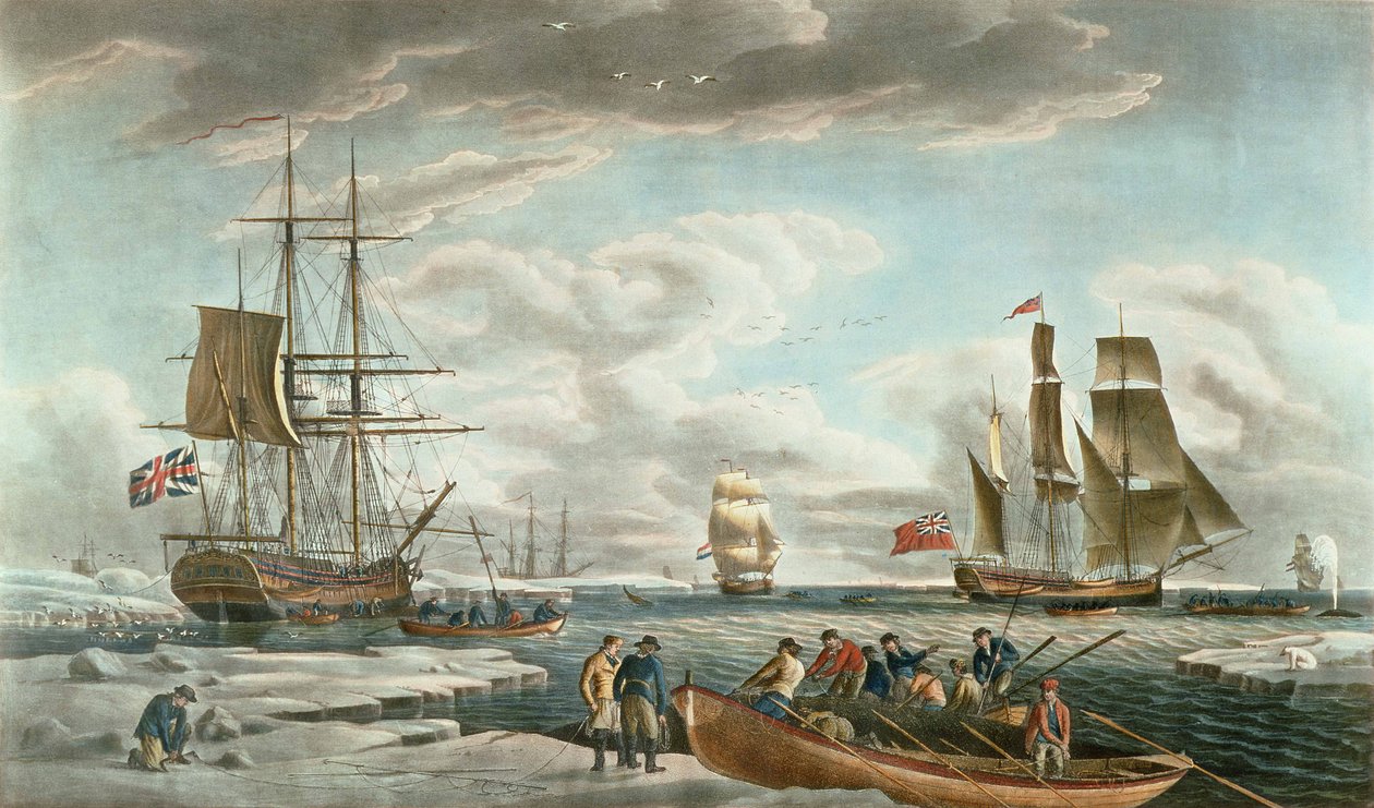 La pesca delle balene in Groenlandia, edito da John  Josiah Boydell da Robert (after) Dodd