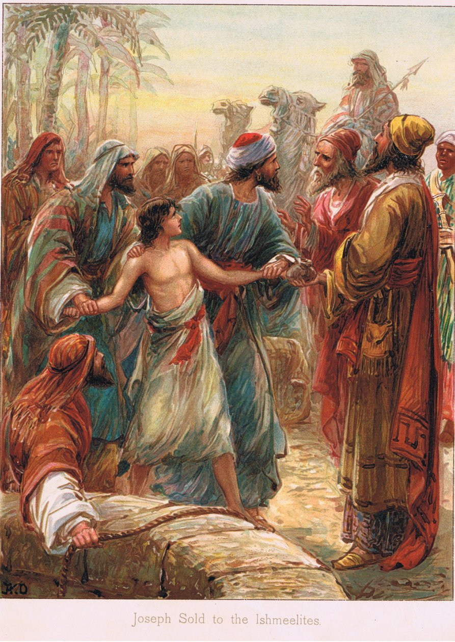 Illustrazione da 