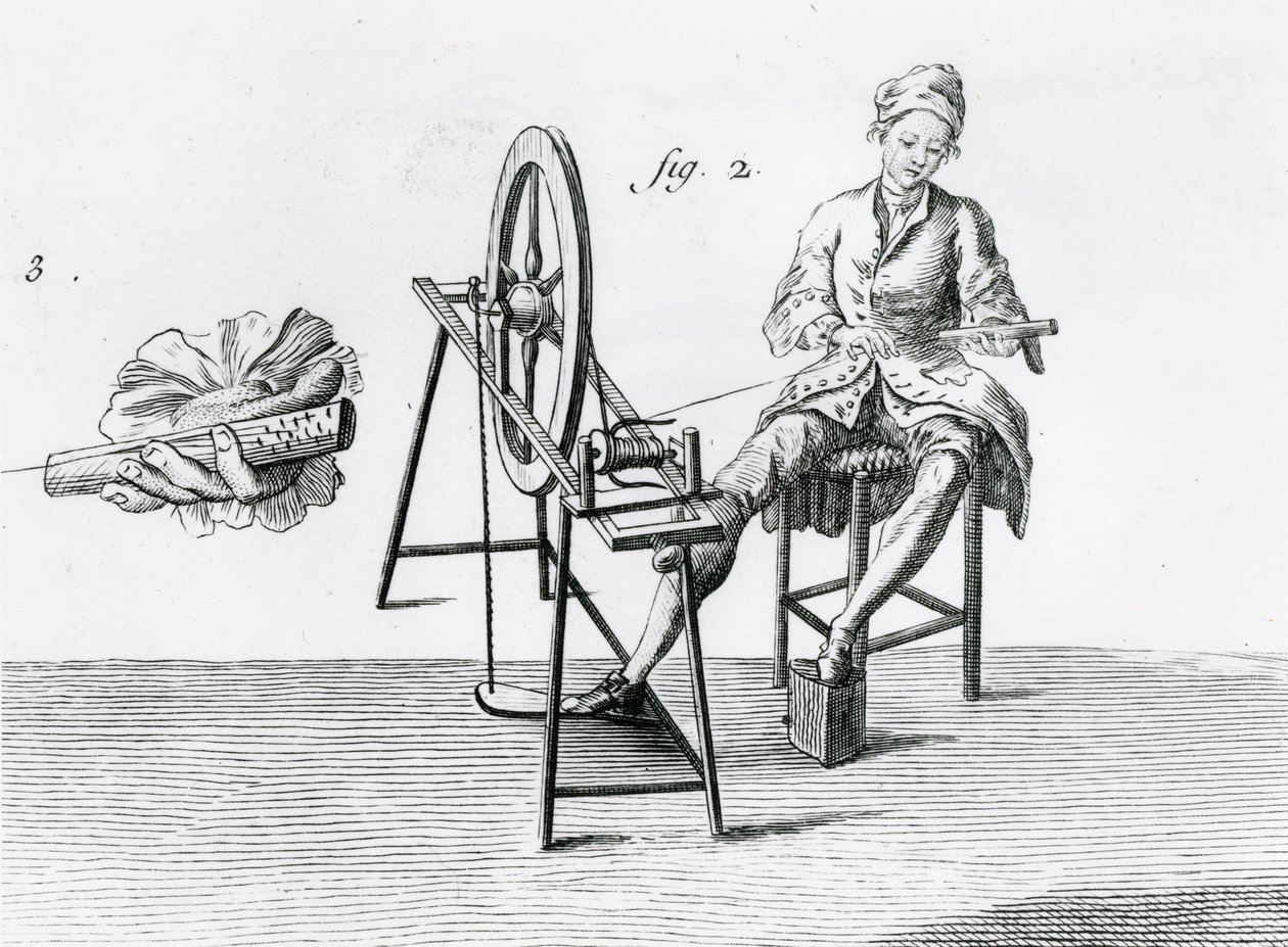 Economia rustica, cotone, da Enciclopedia di Denis Diderot (dettaglio) da Robert Benard
