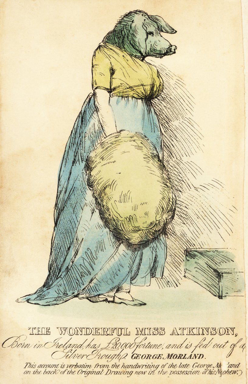La Signora con la Faccia di Maiale, famosa a Londra circa 1815 da Robert Cooper