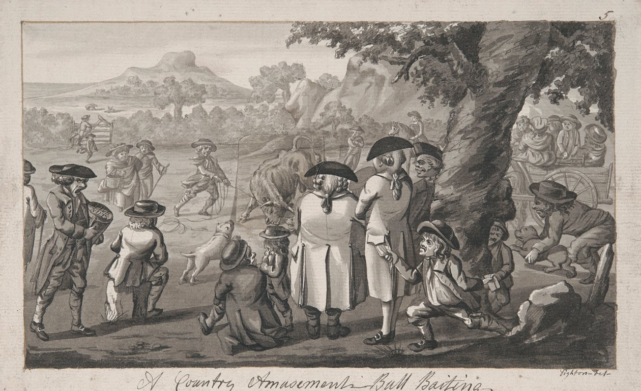 Un Divertimento di Campagna - Lotta con il Toro da Robert Dighton