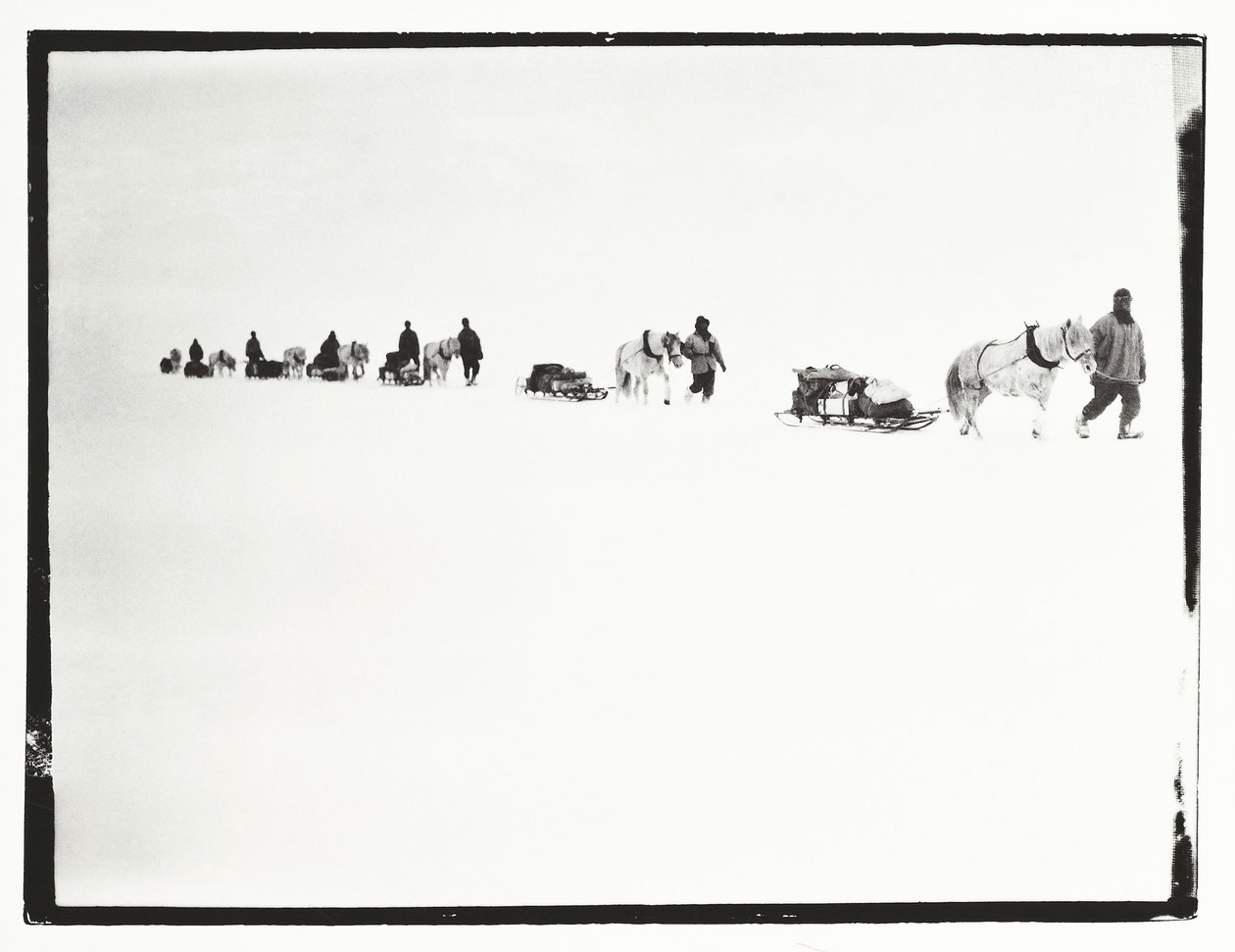 Pony in marcia, Grande Barriera di Ghiaccio, 2 dicembre da Robert Falcon Scott
