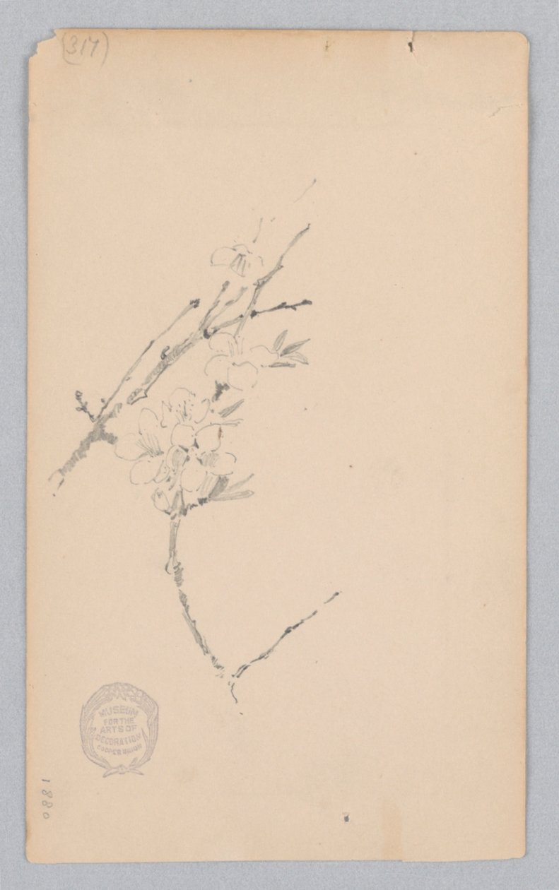 Ramo da Robert Frederick Blum