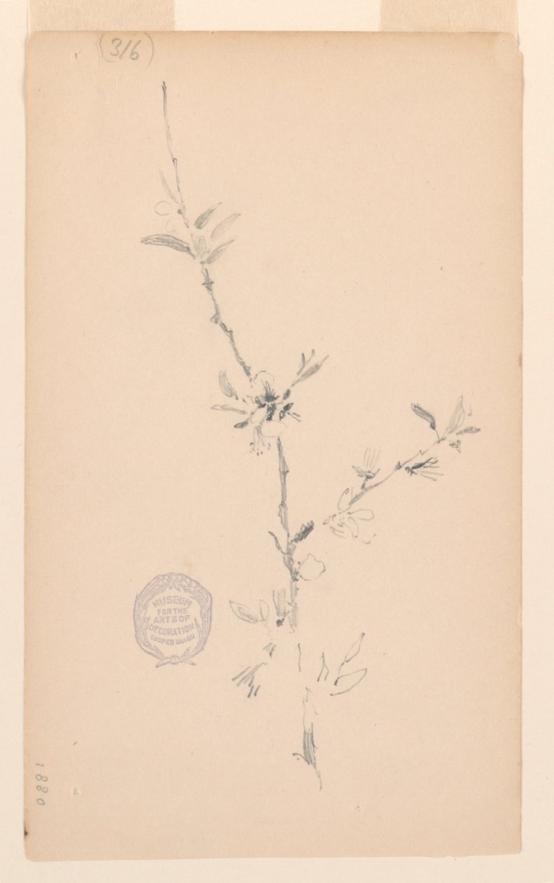 Ramo da Robert Frederick Blum