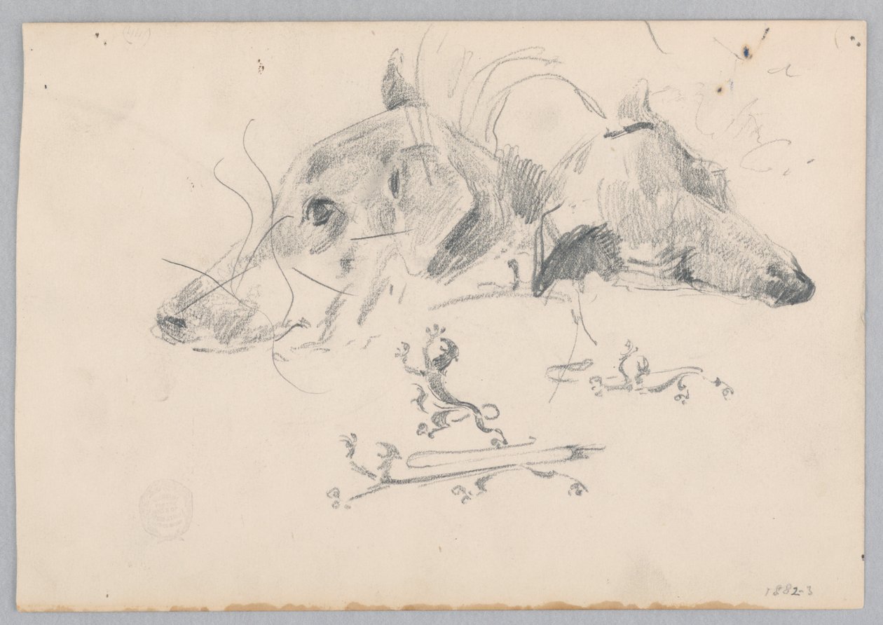 Cane e leone da Robert Frederick Blum