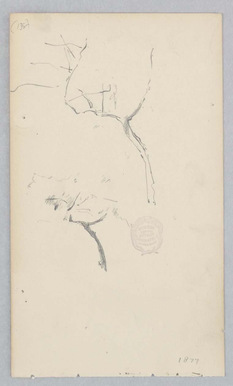 Albero da Robert Frederick Blum