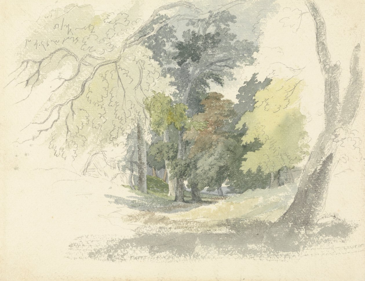 Una radura nel bosco da Robert Hills