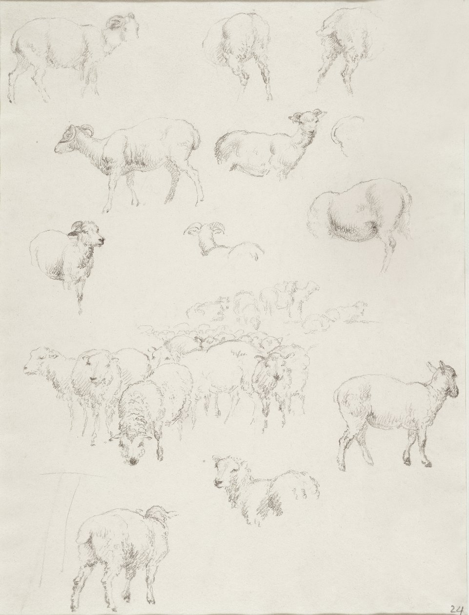 Gregge di pecore, dopo il 1794 da Robert Hills