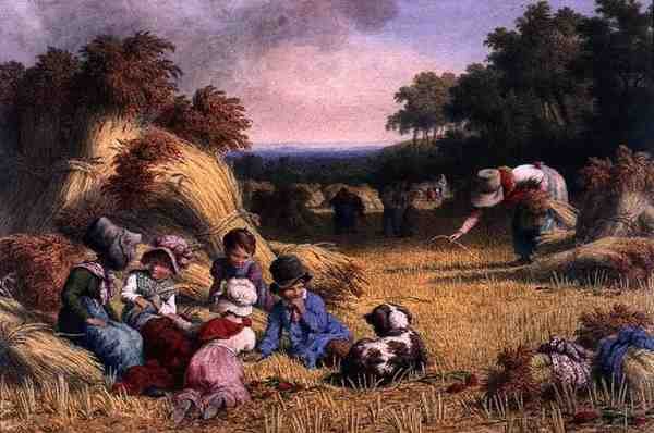 Campo di Raccolto da Robert Hills
