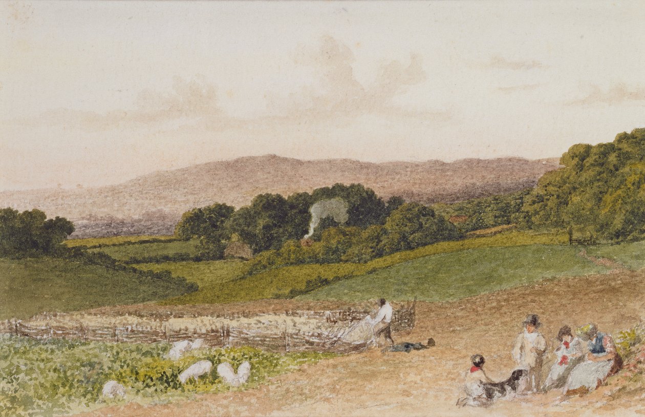 Il Campo di Rape da Robert Hills