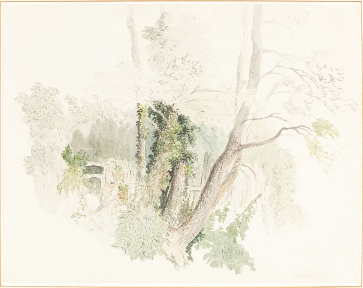 Alberi a Beddington da Robert Hills