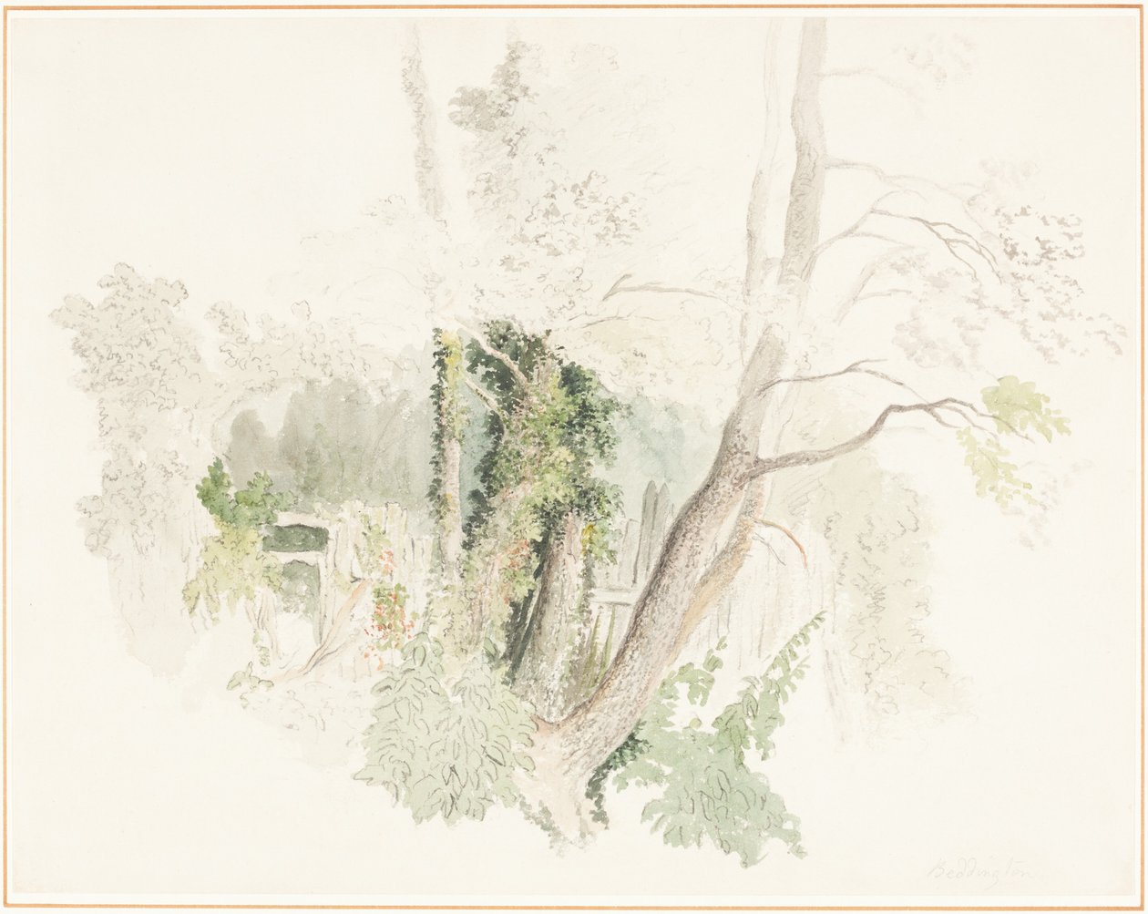 Gli alberi a Beddington da Robert Hills