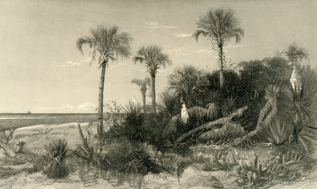Sulla costa della Florida, 1872 da Robert Hinshelwood