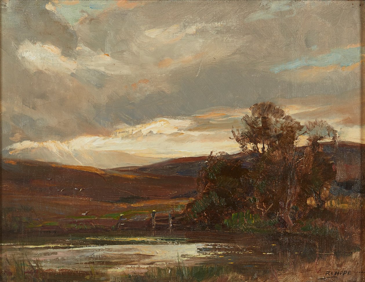 Sera sulla strada di Swire, Ettrick Bridge da Robert Hope