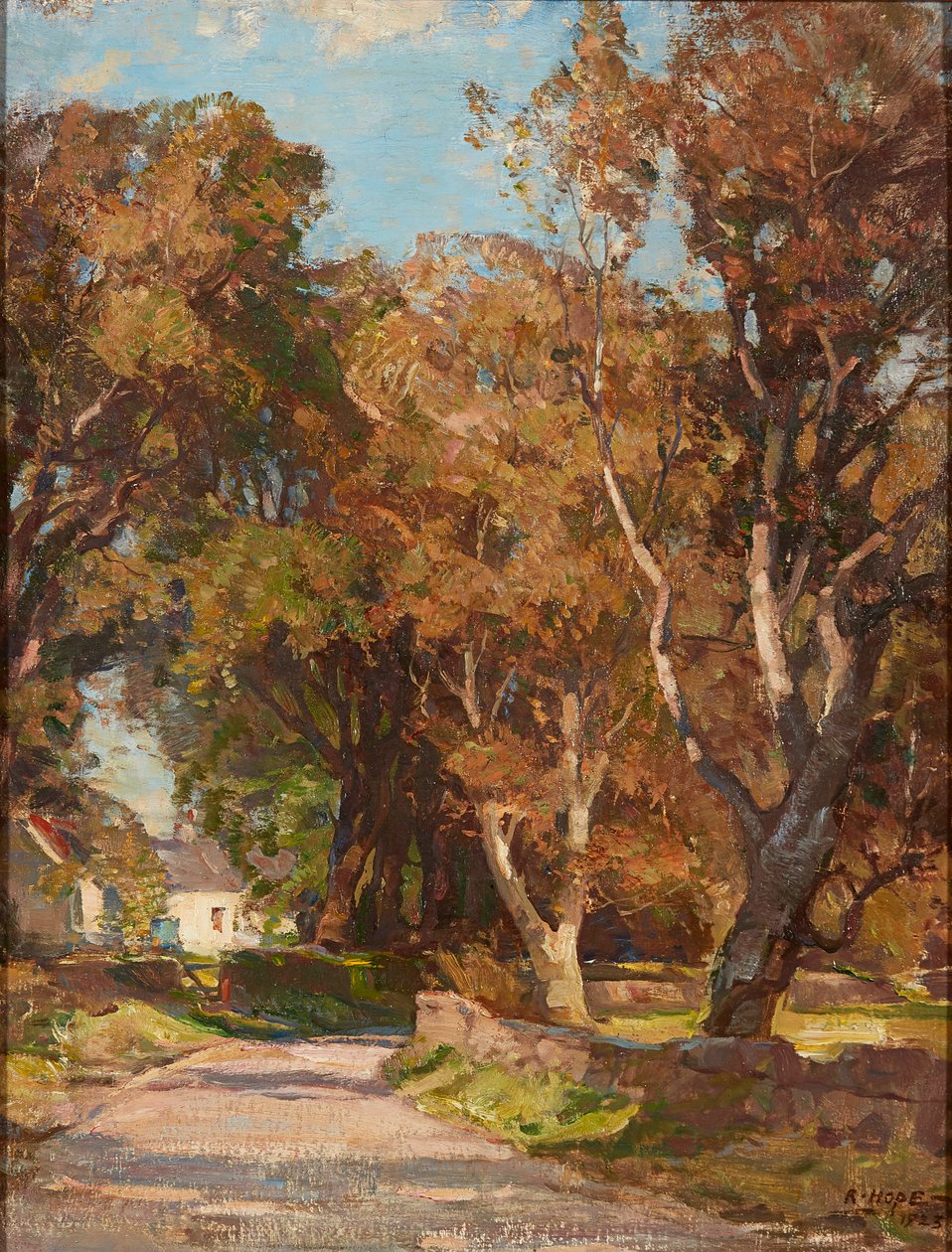 Lungo la strada vicino a Colvend Manse, Dalbeattie da Robert Hope